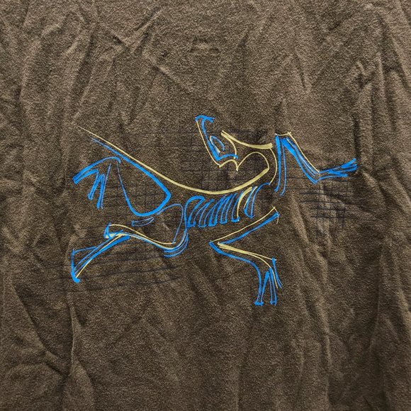 Green mens T Tee Shirt ARCTERYX Fossil Logo Skeleton blue Yellow Graphic Front L - Picture 1 of 12